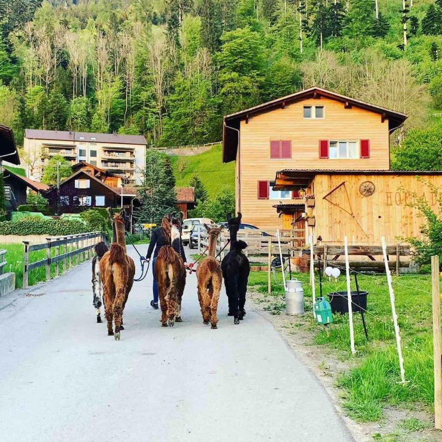 Jurte Beim Lama- & Alpakahof Triesenberg Hotel Exterior foto