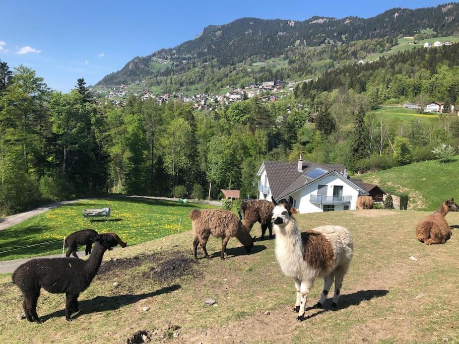 Jurte Beim Lama- & Alpakahof Triesenberg Hotel Exterior foto